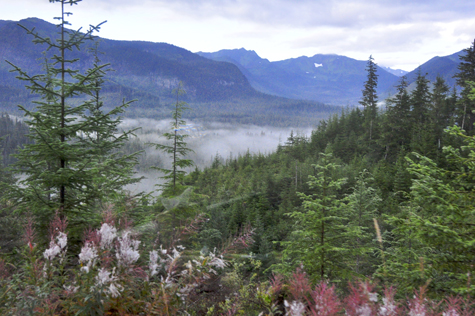 Melanie Heinrich Images - Alaska